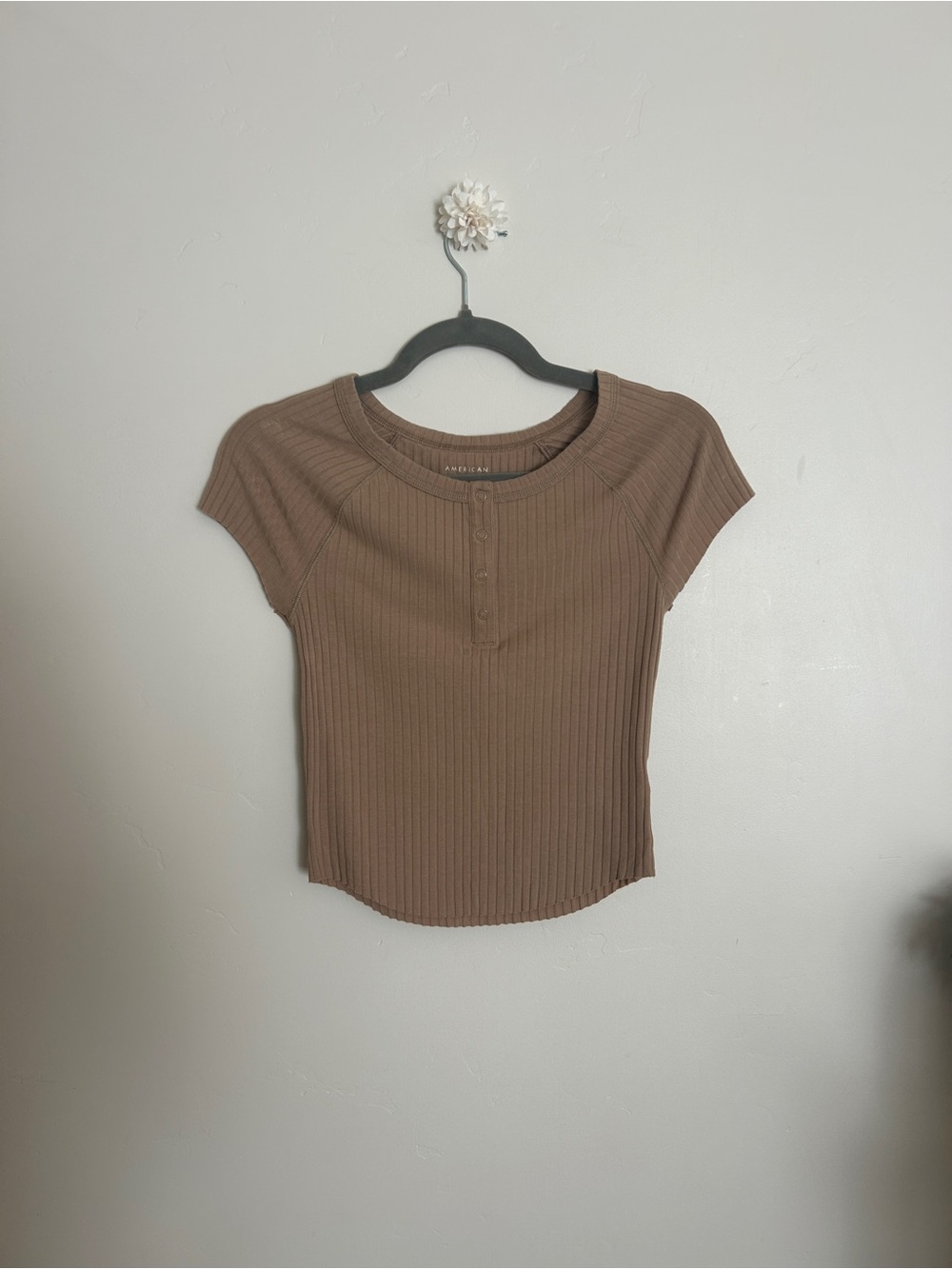 American Eagle Outfitters Ribbed Henley Crop Top - Brown